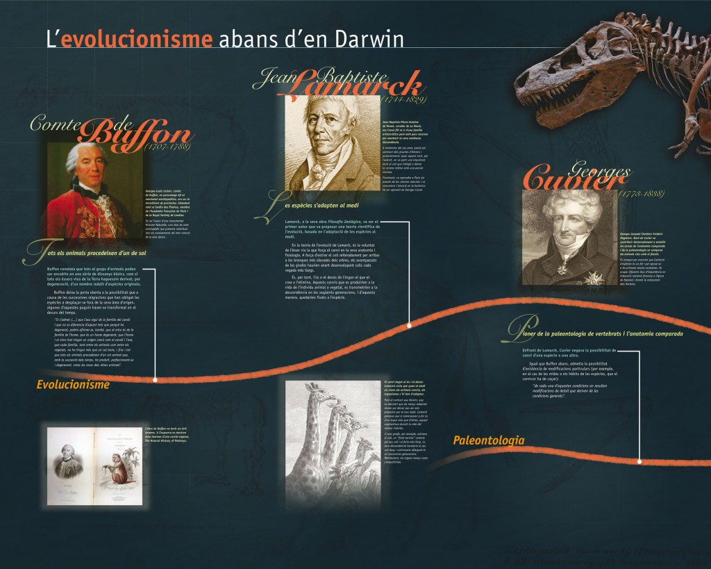 Exposició sobre Darwin i l'evolucionisme